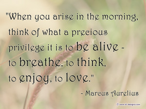 When You Arise In The Morning, Think of What a Precious Privilege It ...