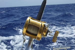 Search Results for: Deep Sea Fishing Rod