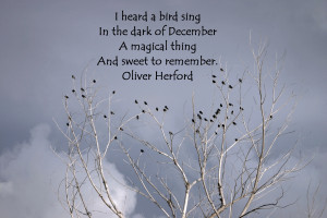 ... Dark Of December A Magical Thing And Sweet To Remember - Birds Quote
