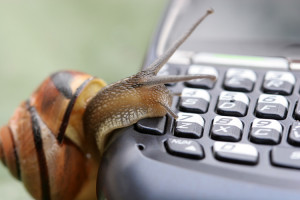 cool, animal, snail and phone Tomasz Szymanski @ photo net