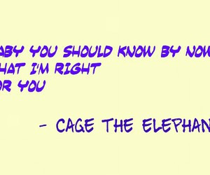 cage the elephant- take it or leave it