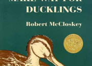 Make Way for Ducklings: Wikis