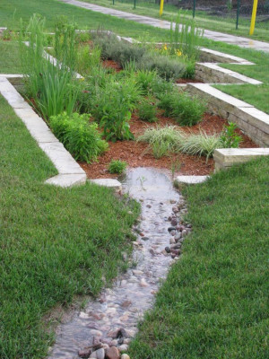 native plantings soil landscaping ideas for ponds 2012