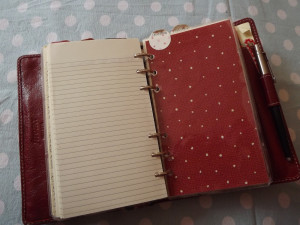 ... . Top tabs read; Diary, Next Actions, Life, Christmas and Holidays