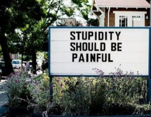 stupidity should be painful
