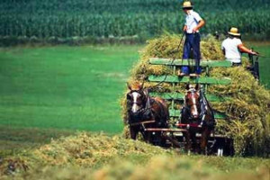The Lessons of Amish Agriculture