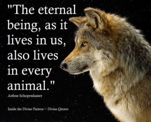 Animal - dog / wolf inspirational quote.