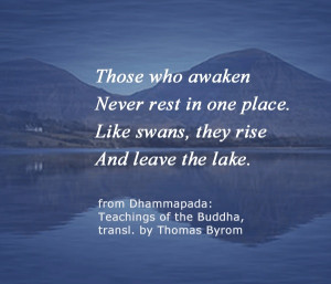 ... teachings of the Buddha. #meditation #Buddha #mindfulness Love Quotes