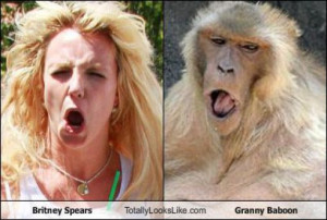 Download funny Britney Spears Face pictures, Britney Spears Face ...