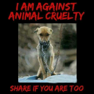 ... animal abusers, every last one of you. I believe animals go to heaven