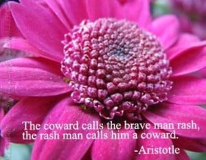Bravery Quotes,The Coward calls the brave man rash,The rush man calls ...