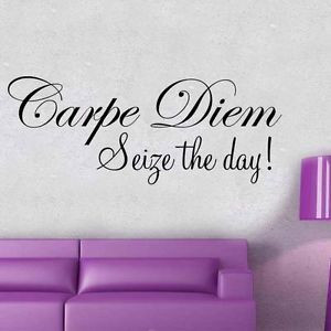 Details about CARPE DIEM Seize the day! wall sticker art quote