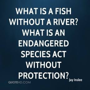 Jay Inslee - What is a fish without a river? What is an Endangered ...