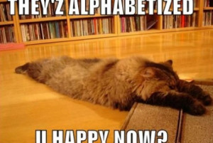 ... cat source http funpict com lol cat caption hate sign fat lazy cute