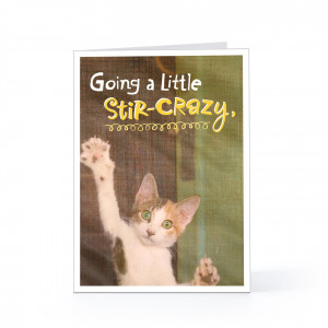 So if anybody is interested in giving me a treadmill I would be happy ...