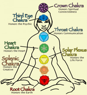 THINGS YOU DIDNT KNOW ABOUT THE SOLAR PLEXUS