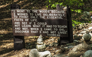 Thoreau Quote Sign
