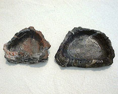 The Sandcastle Hideout for Hermit Crabs