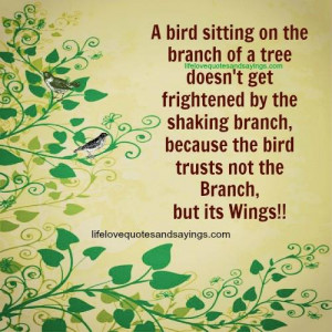 Bird Sitting On The Branch..