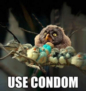 use-condom-funny-owl