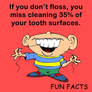 Orthodontic Fact #13 