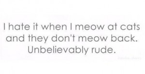 Funny Quote - I hate it when I meow at cats and they are rude back