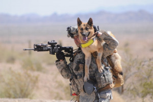 Soldier & German Shepherd (800×531)