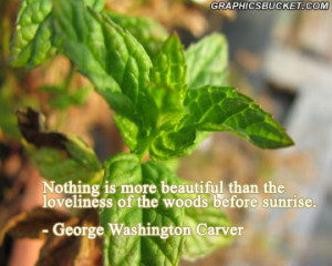 Nature quotes, a good inspirational quote, about environment