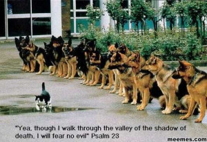 Yea Though I Walk Through The Valley of The Shadow