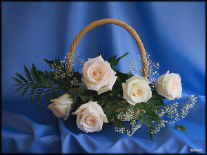 QUOTES ABOUT ROSES AND LOVE (+imagines)