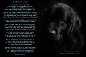 Foster Dog Mom Poem