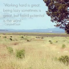 Hard Work Quote ….