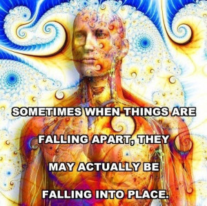 Things falling into place