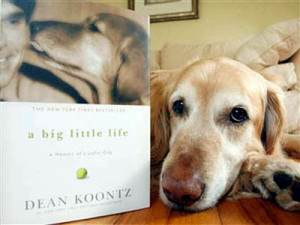 Dean Koontz: Lessons learned from my dog