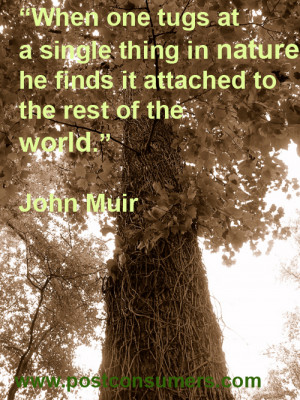John Muir on Nature and the World
