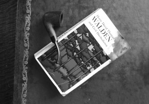 miles from home. sometimes i wish i lived in a city with a bigger bike ...