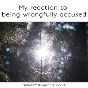 My reaction to being wrongfully accused - Cynthia Occelli