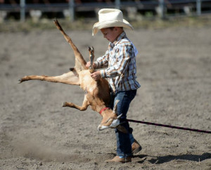 Noah Holman, 6, puts a goat on his side during the goat flanking event ...