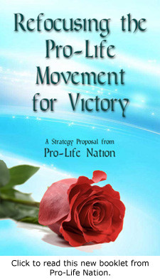 Pro-Life Nation has released a new strategy proposal urging the Pro ...