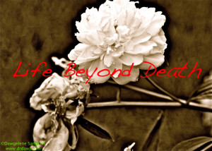 One of the last photos my spouse took before he died from GBM brain ...