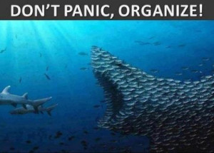 don't panic, organize!