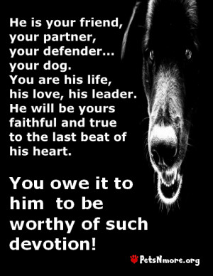 animal, dog, cat, pet, animal, inspiring quotes for animal lovers ...