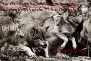 Displaying (18) Gallery Images For Inspirational Wolf Quotes...