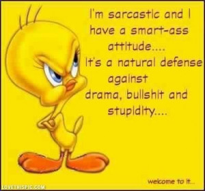 Bird Quote funny quotes quote lol funny quote funny quotes tweety bird ...