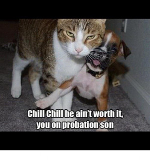 Funny Pics & quotes You Are On Probation, Son!