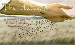 spiritual quotes and sayings the harvest is plentiful but the laborers ...