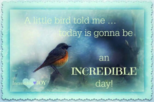little bird told me...