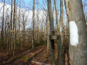 Related to Eagle S Nest Eagle 1 Supply