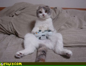 Cat Playing Video Game