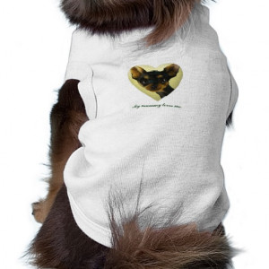 Chihuahua coat dog clothes